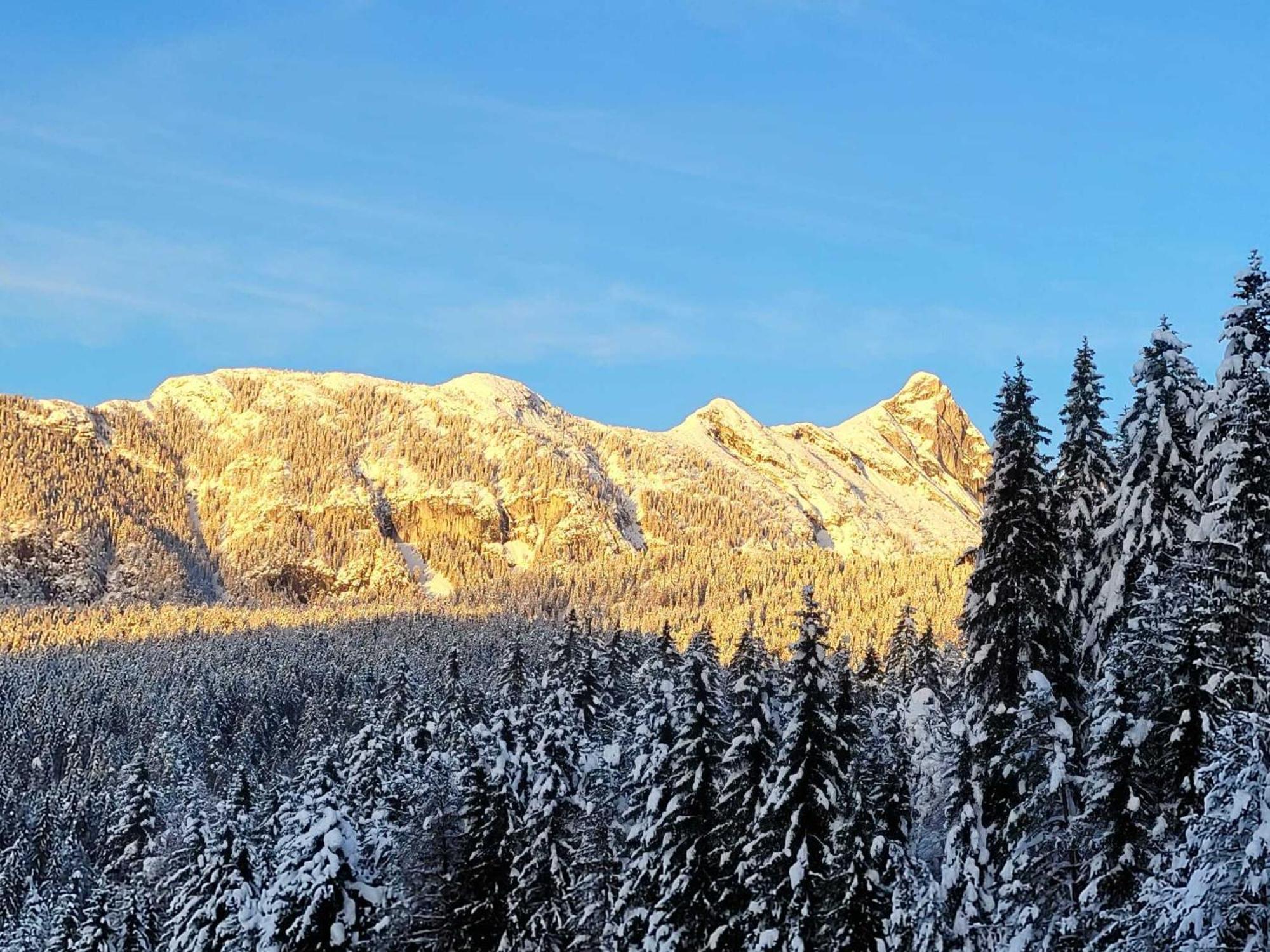 Alpenchalet Im Leutaschtal Zewnętrze zdjęcie